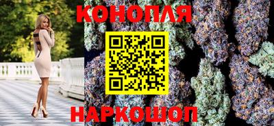 стаф Лесосибирск