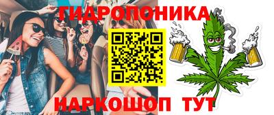 стаф Лесосибирск
